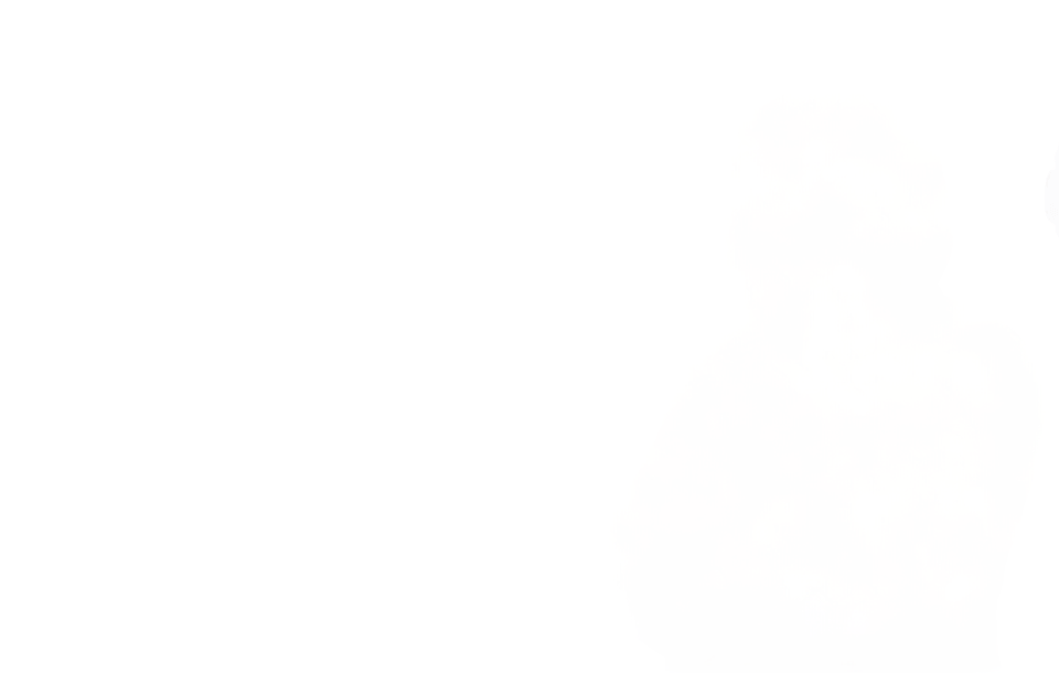 Prashanth S P and Associates